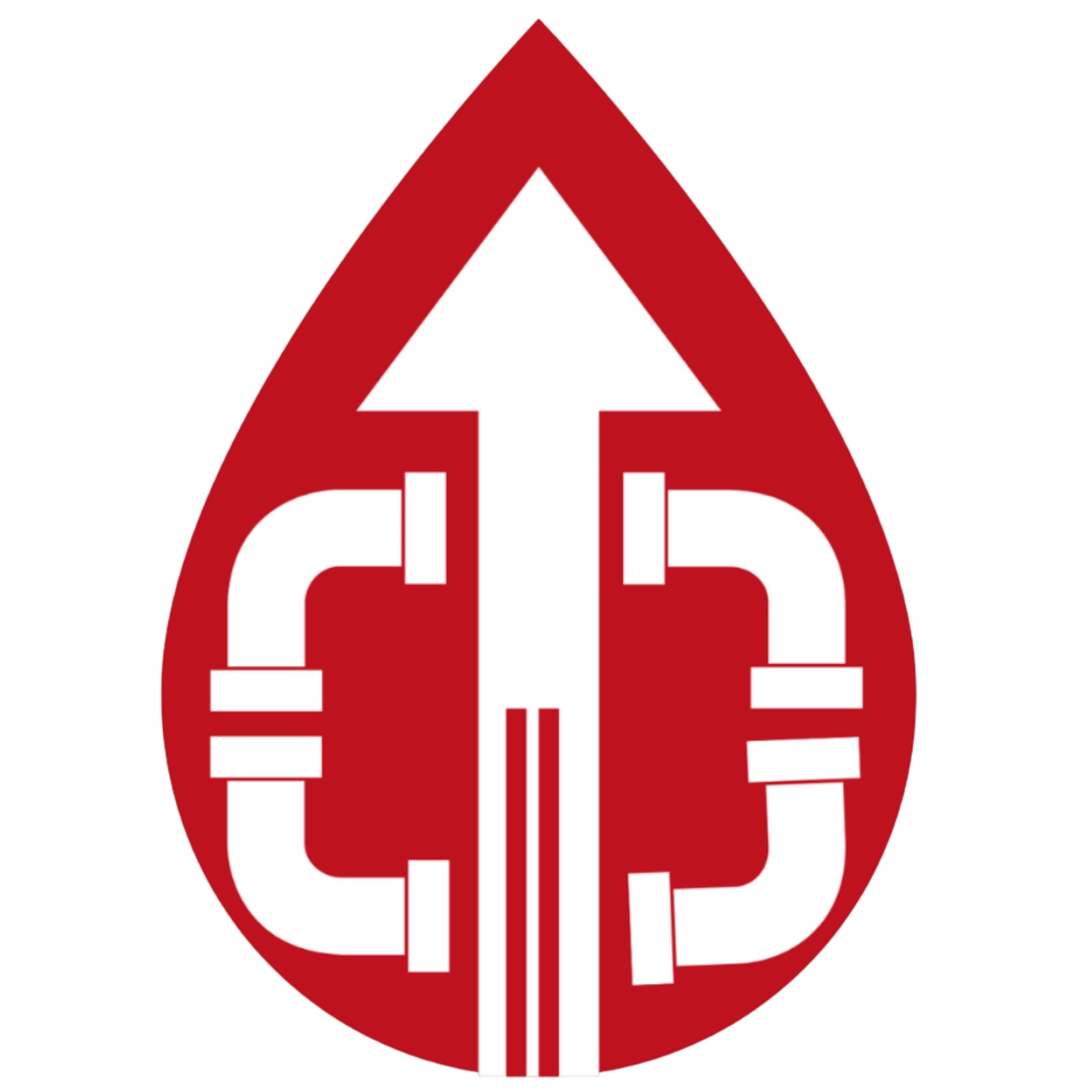 FlowLead Digital logo